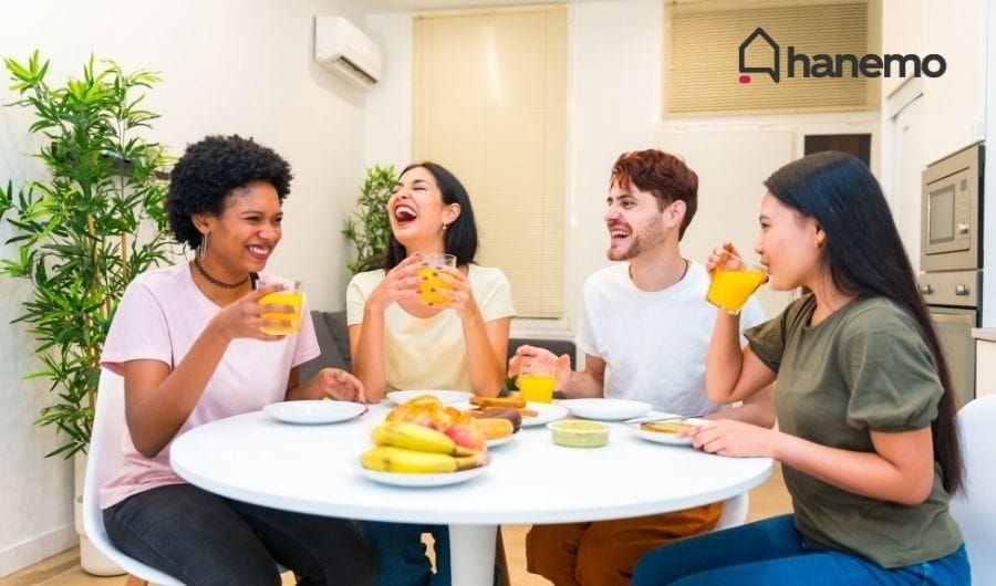 airbnb misafir sayısı